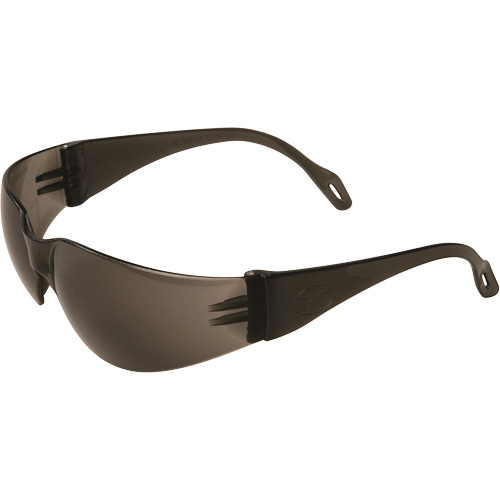 Lunettes de s&eacute;curit&eacute; Veratti 2000, Lentille Grise/fum&eacute;e, Anti-&eacute;gratignures, ANSI Z87+/R&eacute;pond ou surpasse la norme CSA Z94.3 Solutions industrielles ALPHA