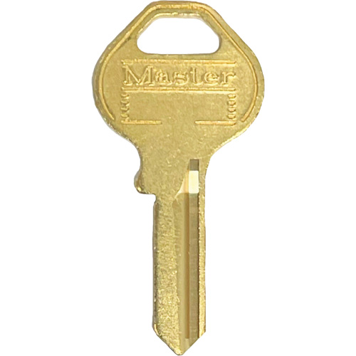 Padlock Master Key Solutions industrielles ALPHA