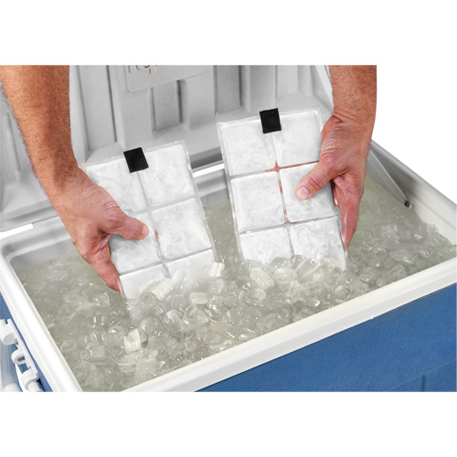 Sachets pour veste de refroidissement &agrave; changement de phase 6260 Chill-Its Solutions industrielles ALPHA