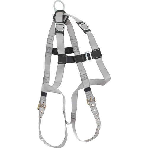 Harnais &eacute;conomique de conformit&eacute; B Dynamic, Certifi&eacute;e CSA, Classe AE, Cap. 310 lb Solutions industrielles ALPHA