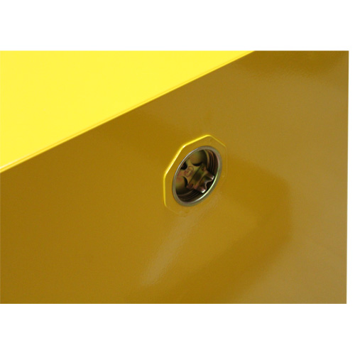 Armoire pour produits inflammables, 4 gal., 1 Porte(s), 17" La x 22" h x 18" p Solutions industrielles ALPHA