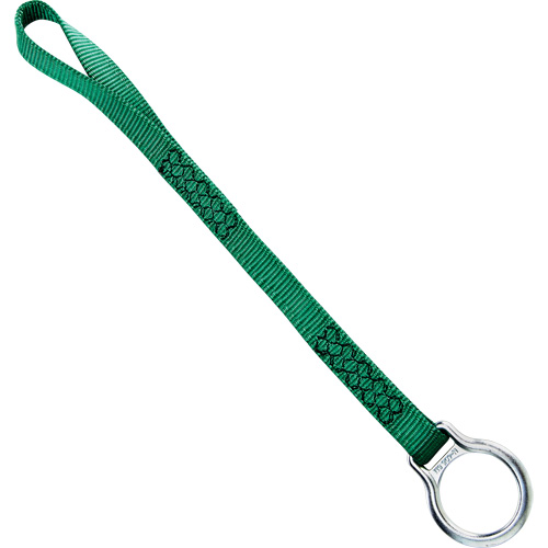 Single D Ring Extension, D-Ring, Temporary Use Solutions industrielles ALPHA