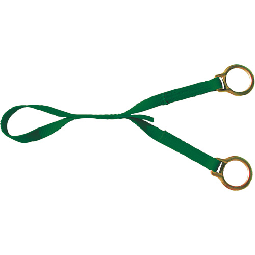 Double D Ring Extension, D-Ring, Temporary Use Solutions industrielles ALPHA