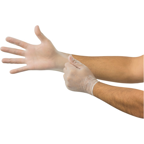 Gants jetables Derma Free MICROFLEX DF-850, 8,5/9/Grand, Vinyle, 3,1 mils/3,5 mils, Sans poudre, Transparent, Classe 2 Solutions industrielles ALPHA