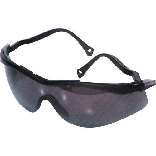 Lunettes de s&eacute;curit&eacute; North The Edge, Lentille Fum&eacute;e, Antibu&eacute;e/Anti-&eacute;gratignures, R&eacute;pond ou surpasse la norme CSA Z94.3 Solutions industrielles ALPHA