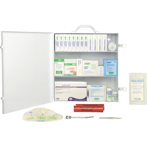 First Aid Kit, Meets CSA Z1220-17 Type 2 Low-Risk Environment, Large (51-100 Workers) Solutions industrielles ALPHA