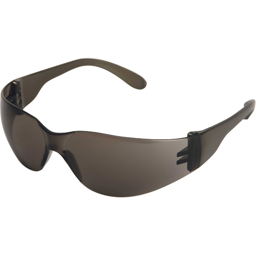 X300 Safety Glasses, Smoke Lens, Anti-Scratch, ANSI Z87+/Meets/Exceeds CSA Z94.3 Solutions industrielles ALPHA