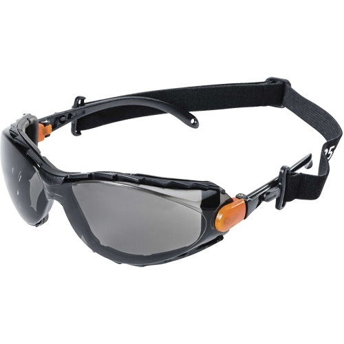 XPS502 Sealed Safety Glasses, Smoke Lens, Anti-Fog/Anti-Scratch Solutions industrielles ALPHA
