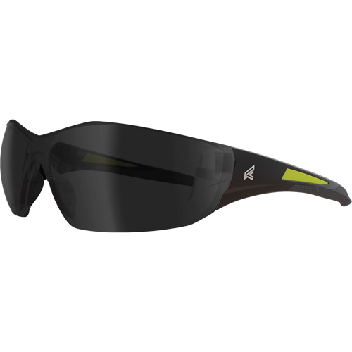 Lunettes de s&eacute;curit&eacute; Delano G2, Lentille Grise/fum&eacute;e, ANSI Z87+/R&eacute;pond ou surpasse la norme CSA Z94.3 Solutions industrielles ALPHA