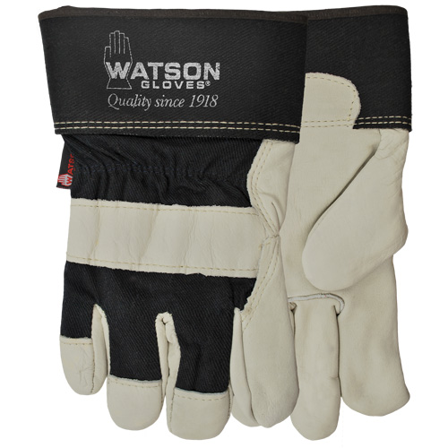Gants Big Dawg, Petit, Paume en Cuir fleur de vache, Thinsulate Solutions industrielles ALPHA