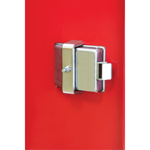 Heavy-Duty Outdoor Fire Extinguisher Cabinet, 14" W x 28" H x 10" D Solutions industrielles ALPHA