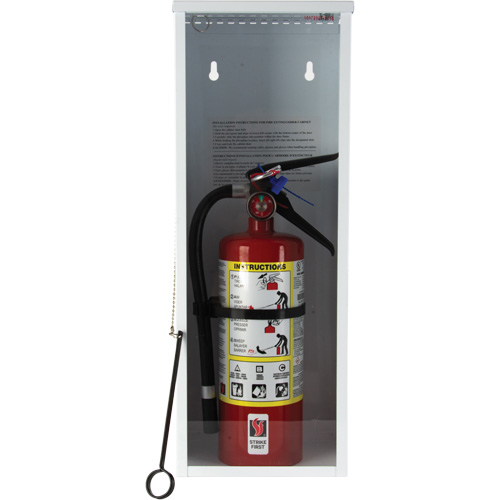 Armoire d'usage l&eacute;ger pour extincteur, 8" la x 22" h x 6" p Solutions industrielles ALPHA