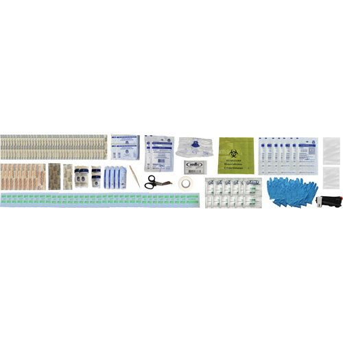 Shield First Aid Kit, Meets/Exceeds CSA Z1220-24 Type 2 Low-Risk Environment, Medium (26-50 Workers) Solutions industrielles ALPHA