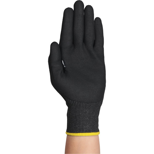 Gants r&eacute;sistants &agrave; la coupe HYFLEX 11-594, Taille 5/2T-petit, Calibre 18, Rev&ecirc;tement Nitrile, Enveloppe en PEHP/Intercept, ASTM ANSI niveau A9/EN 388 niveau F Solutions industrielles ALPHA