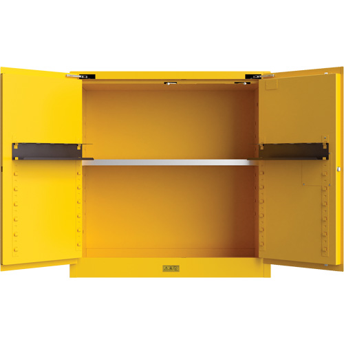 Utili-Guard+ Flammable Safety Cabinet, 30 gal., 1 Door, 43" W x 44" H x 22" D Solutions industrielles ALPHA