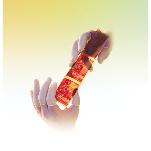 QRP&reg; Powder-Free Qualatex Latex Finger Cots Solutions industrielles ALPHA