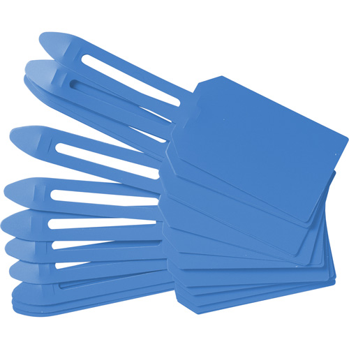 Blank Plastic Lock-On Tags, Plastic, 3-1/4" W x 5-4/5" H, Blank Solutions industrielles ALPHA