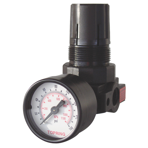 Mini r&eacute;gulateurs, 1/4" NPT, PSI max. de 165 PSI, Modulaire Solutions industrielles ALPHA