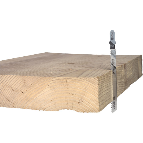 Lame de scie alternative pour la coupe du bois, Acier &agrave; haute teneur en carbone, Tige en T, 4" lo, 10 dents par pouce Solutions industrielles ALPHA