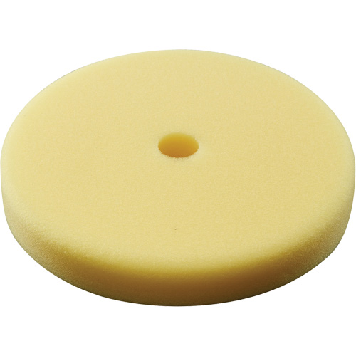 Polishing Pad, 7" Dia. Solutions industrielles ALPHA