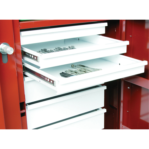 Rolling Work Bench, 49-7/8" W x 40-5/8" H x 26-7/8" D, 24.6 Cubic Feet Capacity Solutions industrielles ALPHA
