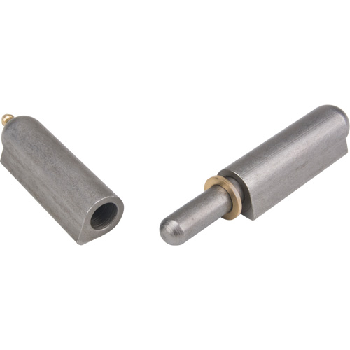 Weld-On Hinge, 0.787" Dia. x 5.906" L, Mild Steel w/Fixed Steel Pin Solutions industrielles ALPHA