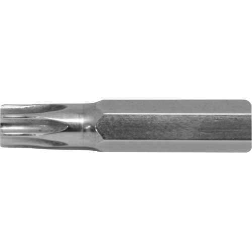 Embout de rechange pour tournevis multi embouts Stubby, Torx, 6, Prise 1/4" Solutions industrielles ALPHA