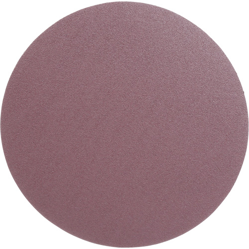 PSA Cloth Disc 348D, 12" Dia., 60 Grit, Aluminum Oxide, X-Weight Solutions industrielles ALPHA