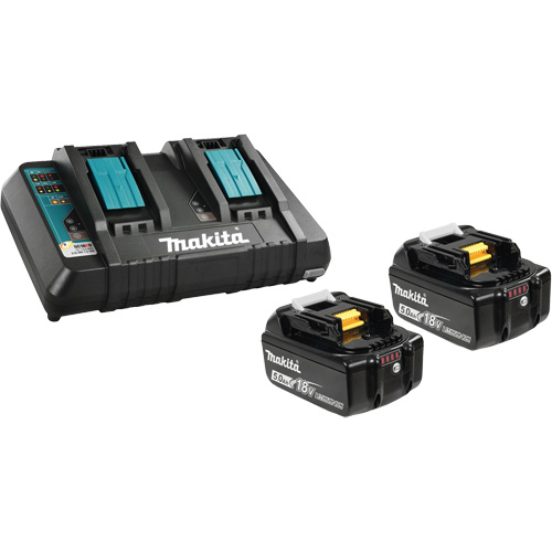 Li-Ion Battery & Dual-Port Charger Kit, 18 V, Lithium-Ion Solutions industrielles ALPHA