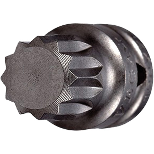 Embout &agrave; ins&eacute;rer, Triple carr&eacute;, 5 x 3/4" lo, Prise 1/4" Solutions industrielles ALPHA