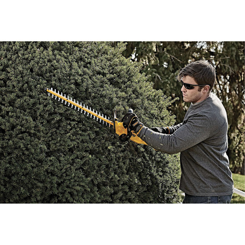 Max Cordless Hedge Trimmer, 22", 20 V, Battery Powered Solutions industrielles ALPHA