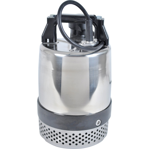 Pompe utilitaire s&eacute;rie FLS/FS, 1 CV, 80 gal./min, 115 V, 10 A Solutions industrielles ALPHA