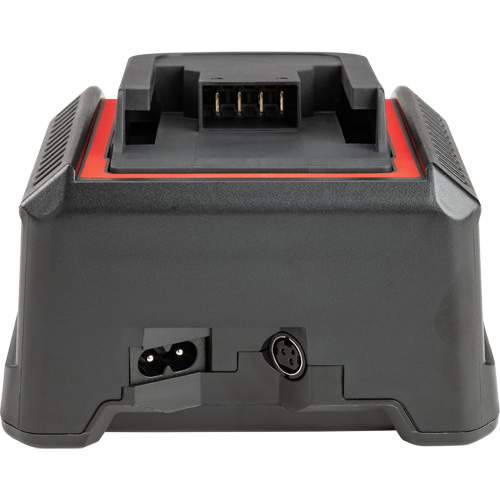 2.5 Ah & 5.0 Ah Battery Charger, 120 V, Lithium-Ion Solutions industrielles ALPHA