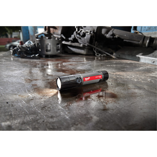 USB Compatible Compact Flashlight, LED, 800 Lumens, Rechargeable Batteries Solutions industrielles ALPHA