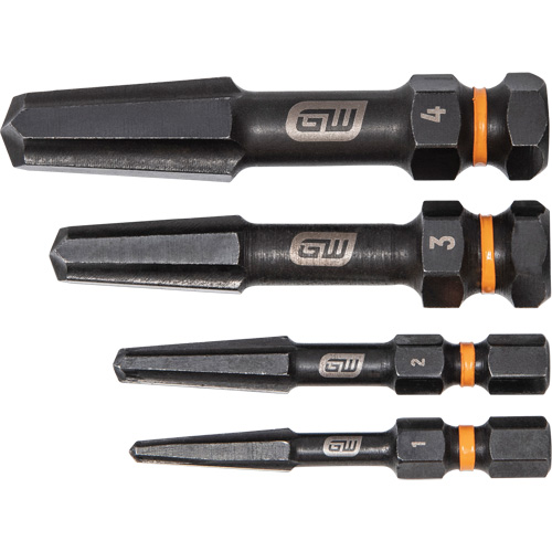 Jeu d'extracteur de vis Bolt Biter, Acier rapide, 4 Morceaux Solutions industrielles ALPHA