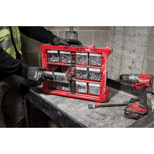 PACKOUT Tilt Bin Organizer, 15-1/5" x 19-7/10" x 6-7/10", Black/Red Solutions industrielles ALPHA