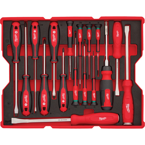 Jeu de tournevis et de leviers avec organisateur pour tiroirs PACKOUT, 17, Magn&eacute;tique Solutions industrielles ALPHA