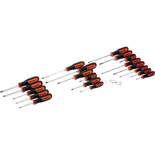 Dual Material Screwdriver Set, 20 Pcs. Solutions industrielles ALPHA