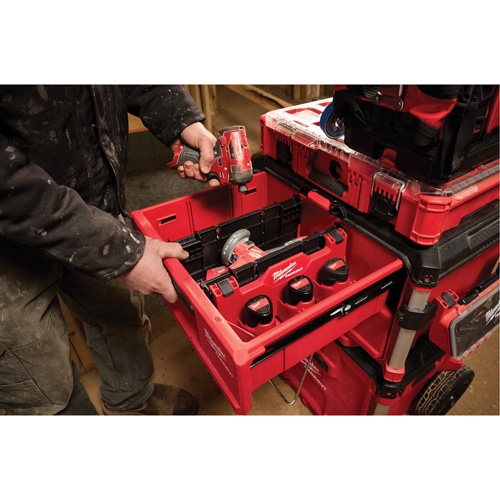 Diviseur pour boîtes &agrave; outils &agrave; tiroirs Packout Solutions industrielles ALPHA