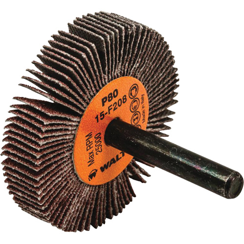 Disques &agrave; lamelles - Meules &agrave; lamelles Coolcut, Oxyde d'aluminium, Grain 80, 2" x 3/8" x 1/4" Solutions industrielles ALPHA