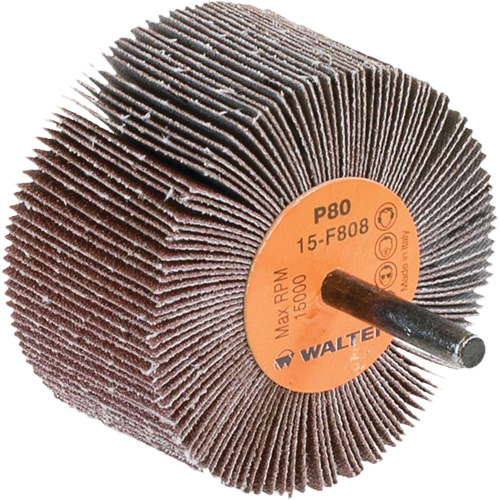 Disques &agrave; lamelles - Meules &agrave; lamelles Coolcut, Oxyde d'aluminium, Grain 80, 3" x 1-1/2" x 1/4" Solutions industrielles ALPHA
