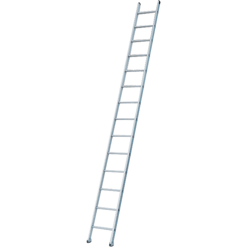 Industrial Heavy-Duty Extension/Straight Ladders, 8', Aluminum, 300 lbs., CSA Grade 1A Solutions industrielles ALPHA