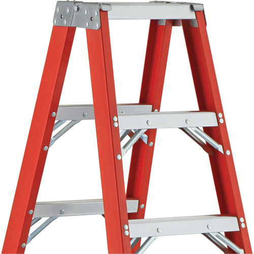 6600 AA Series Industrial Extra Heavy-Duty 2-Way Stepladders, Fibreglass, 375 lbs. Capacity, 4' Solutions industrielles ALPHA