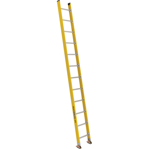 Industrial Extra Heavy-Duty Straight Ladders (5600 Series), 12', Fibreglass, 375 lbs., CSA Grade 1AA Solutions industrielles ALPHA