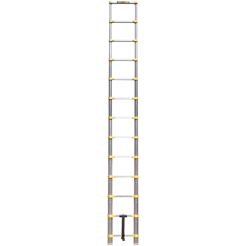 &eacute;chelle t&eacute;lescopique, 3' - 12', Aluminium, Capacit&eacute; de 250 lb, Type 1 Solutions industrielles ALPHA