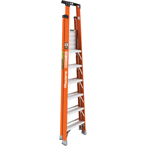 Escabeau avec plateforme Safespace, 6', Cap. De 300 lb Solutions industrielles ALPHA