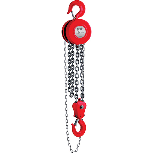 Chain Hoist, 8' Lift, 11023 lbs. (5 tons) Capacity Solutions industrielles ALPHA