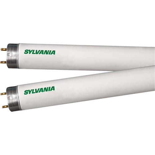 Lampes fluorescentes, 32 W, T8, 4100 K, Longueur de 48" Solutions industrielles ALPHA