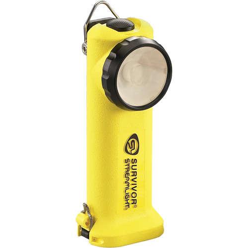 Lampe de poche Survivor, DEL, Piles Rechargeable/AA, Polym&egrave;re de nylon Solutions industrielles ALPHA