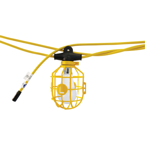 Chaînes de lumi&egrave;res DEL, 10 Lumi&egrave;res, 1200" lo, Boîtier en Plastique Solutions industrielles ALPHA
